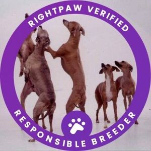 Meet your Posher, Claire